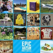 Epic auction.jpg